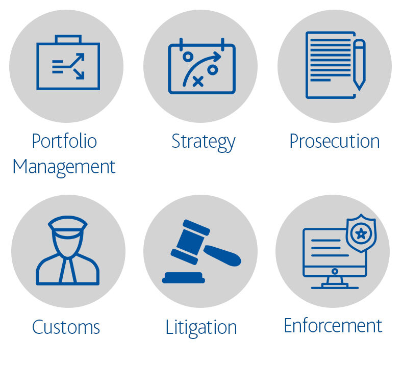 6 icons, on of Portfolio Management, on of Strategy, on of Prosecution, on of Customs, on of Litigation, and on of Enforcement