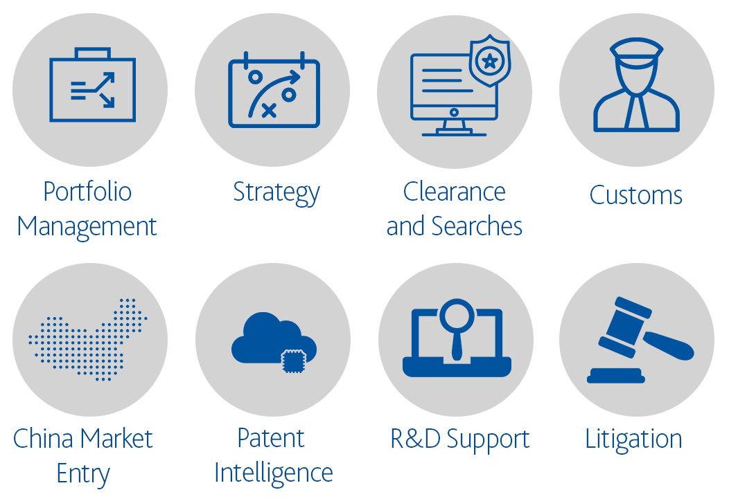 8 icons, one of Portfolio Management, one of Strategy, one of Clearance and Searches, one of Customs, one of China Market Entry, one of Patent Intelligence, one of R&D Support, and one of Litigation