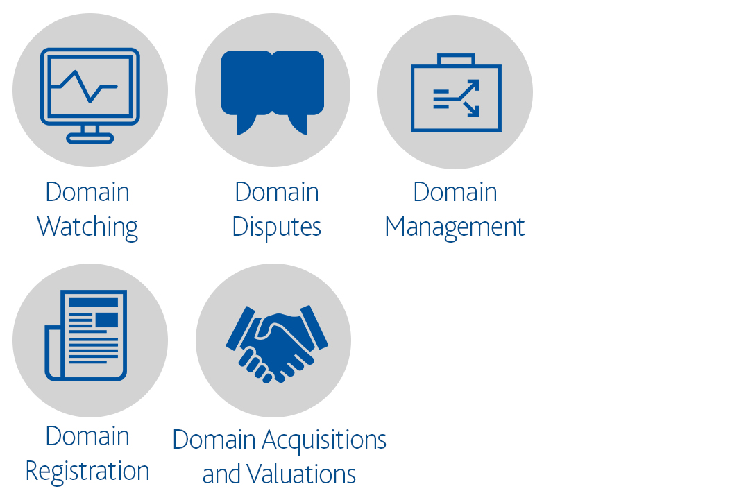 5 icons, one of Domain Watching, one of Domain Disputes, one of Domain Management, one of Domain Registration, and one of Domain Acquisitions and Valuations