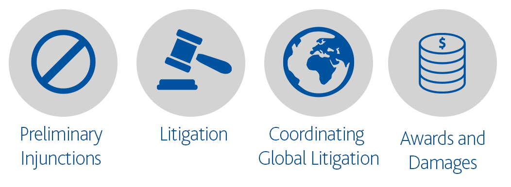 4 icons, one of Preliminary Injunctions, one of Litigation, one of Coordinating Global Litigation, and one of Awards & Damages